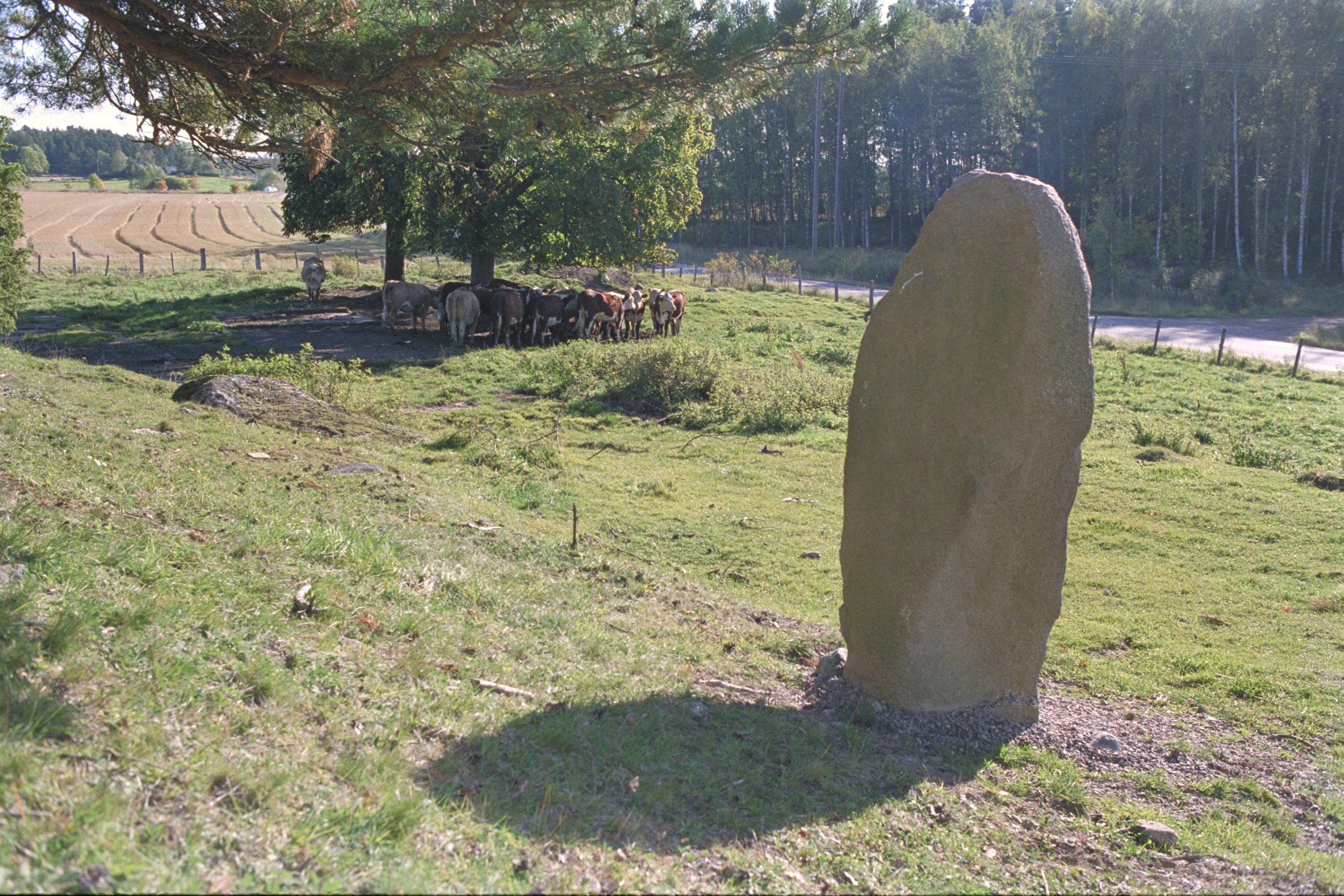 Bengt A Lundberg, ÖgNf1993 Lunnebjörke