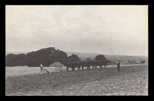 Gale, Lt. Col. Joseph, Rural Life