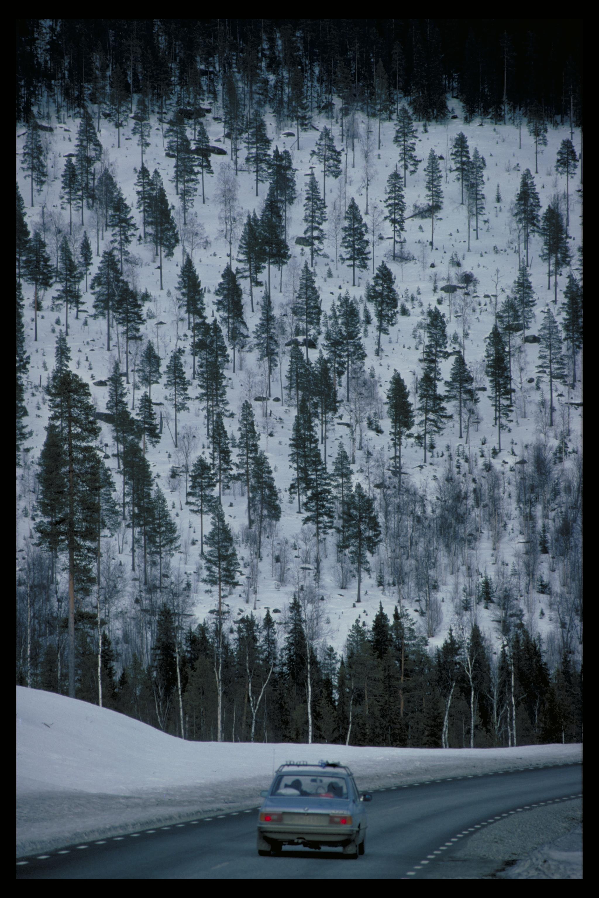 Pål-Nils Nilsson, Västerbotten