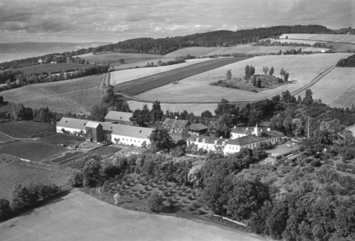 Widerøes Flyveselskap A/S, Flyfoto, gardsbruk, Hovinsholm, Helgøya.