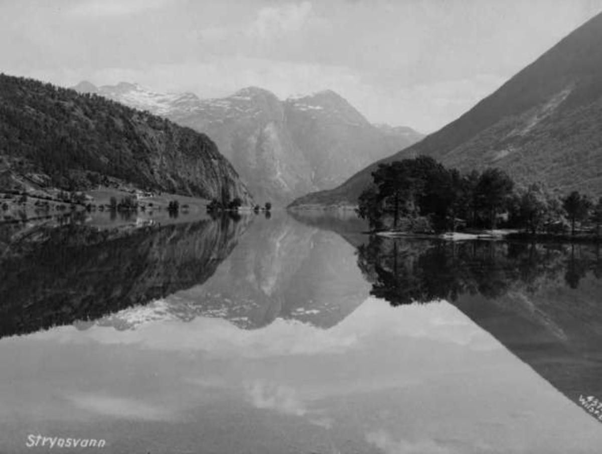 Anders Beer Wilse, -6702