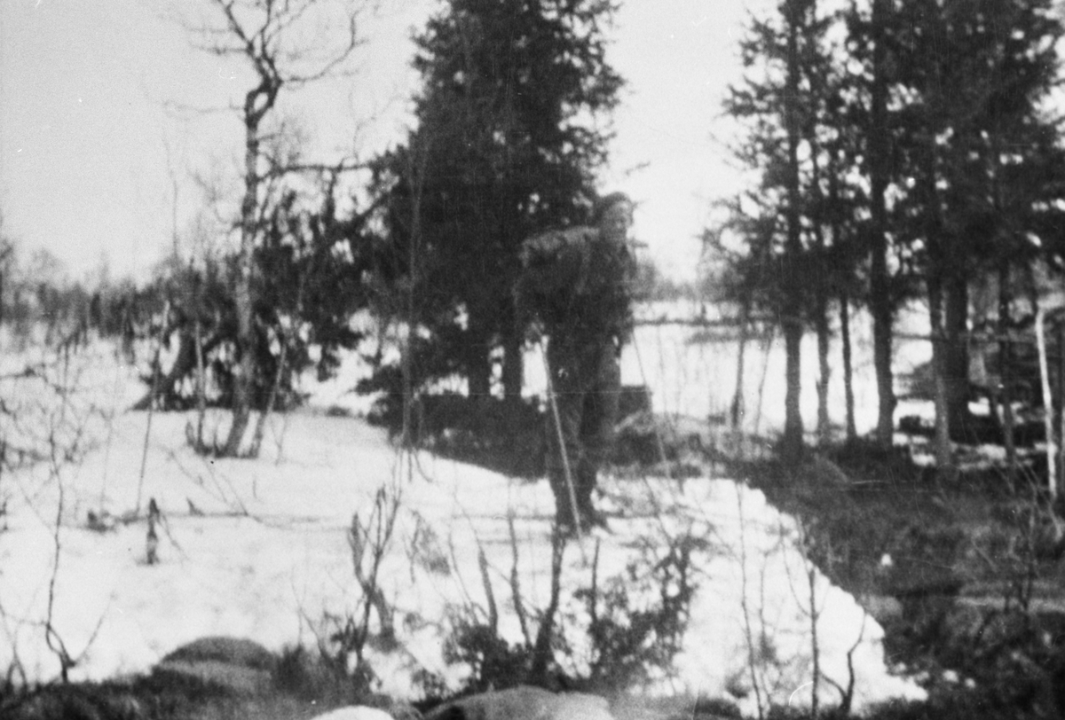 Oddvar Dobloug, Grebesoldat på ski (Se også MINØ.037926)