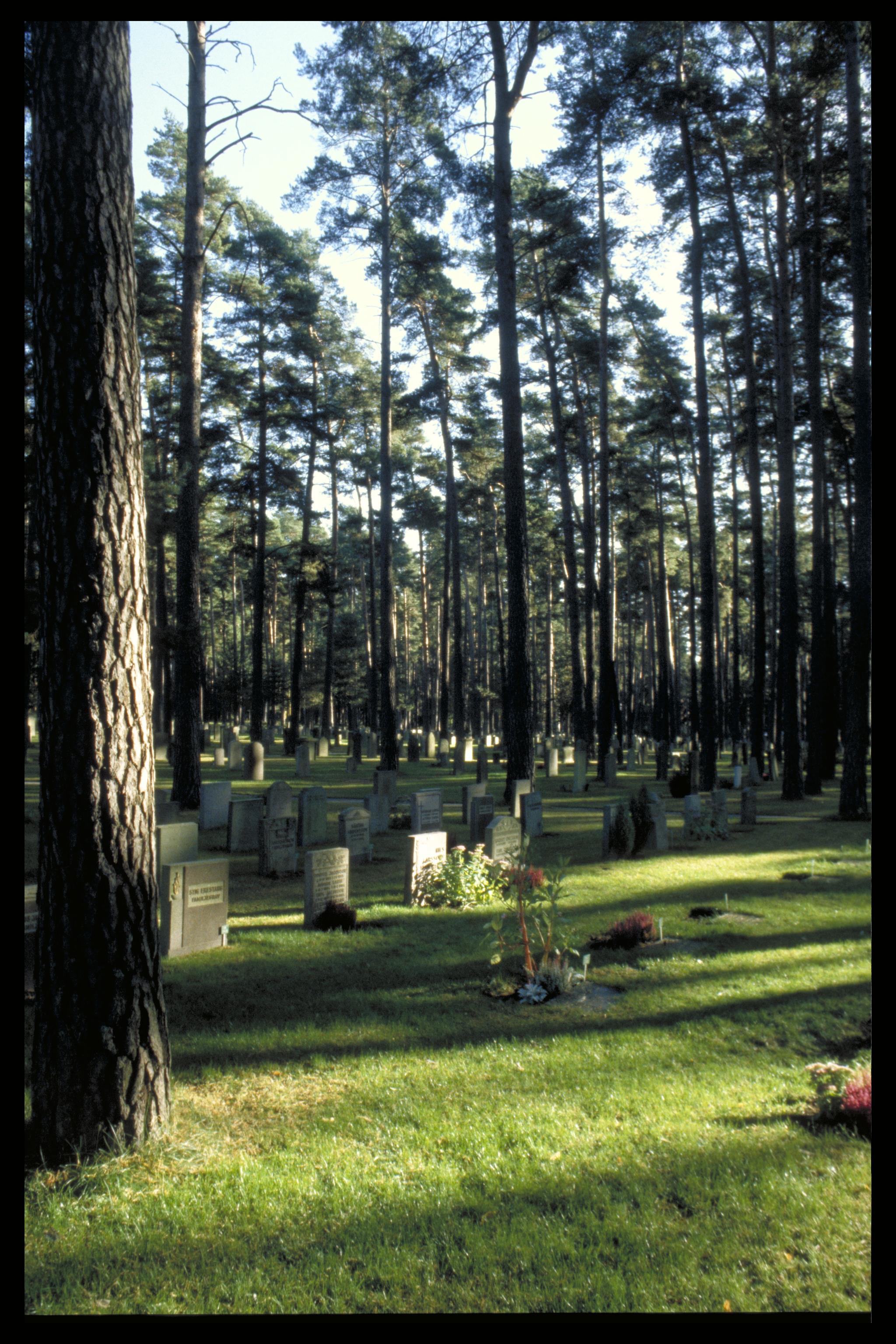 Bengt A Lundberg, Skogskyrkogården