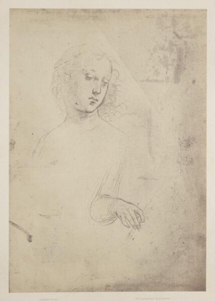 Fenton, Roger, Photograph of Raphael drawing