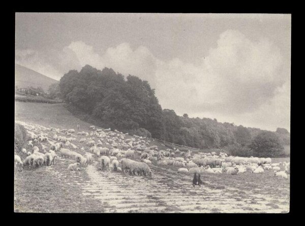 Gale, Lt. Col. Joseph, Rural Life