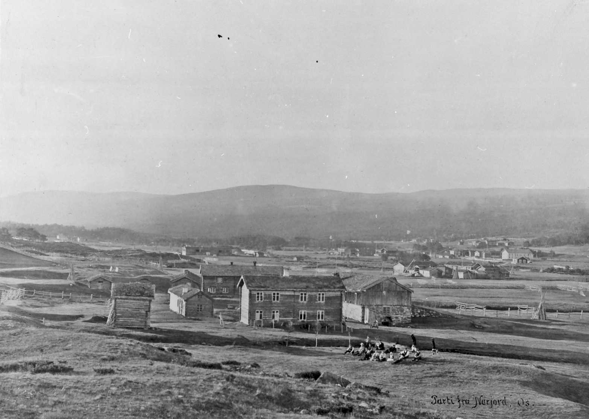 Peder J. Bredalslien, Postkort, gårdsbruk, Narjordet, Jo-Pålsagården,