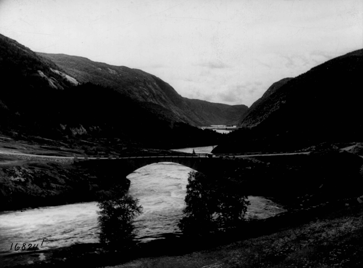 Anders Beer Wilse, Otra