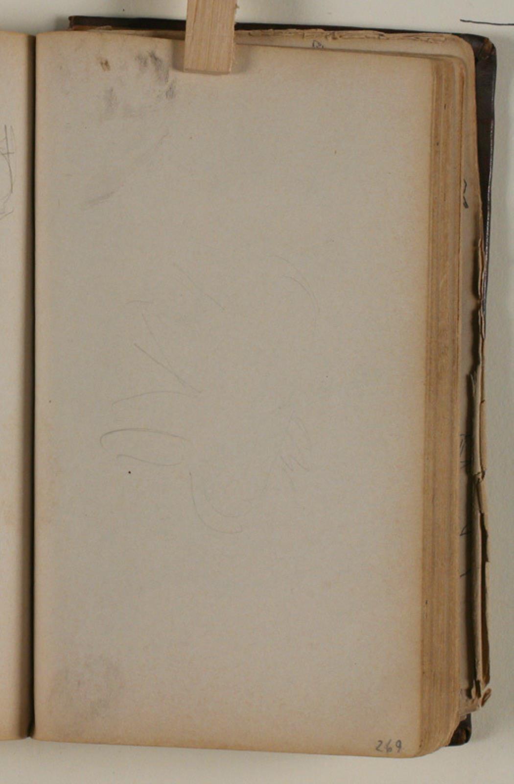 Niels Larsen Stevns, Studie af ørn