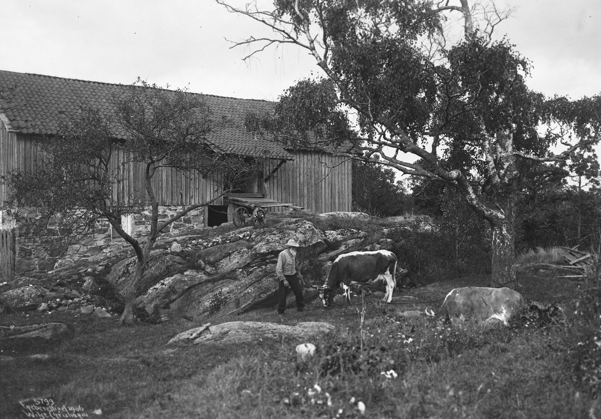 Anders Beer Wilse, Prot: Burøtangen Hvistendahls Gaardspladsen 3/10