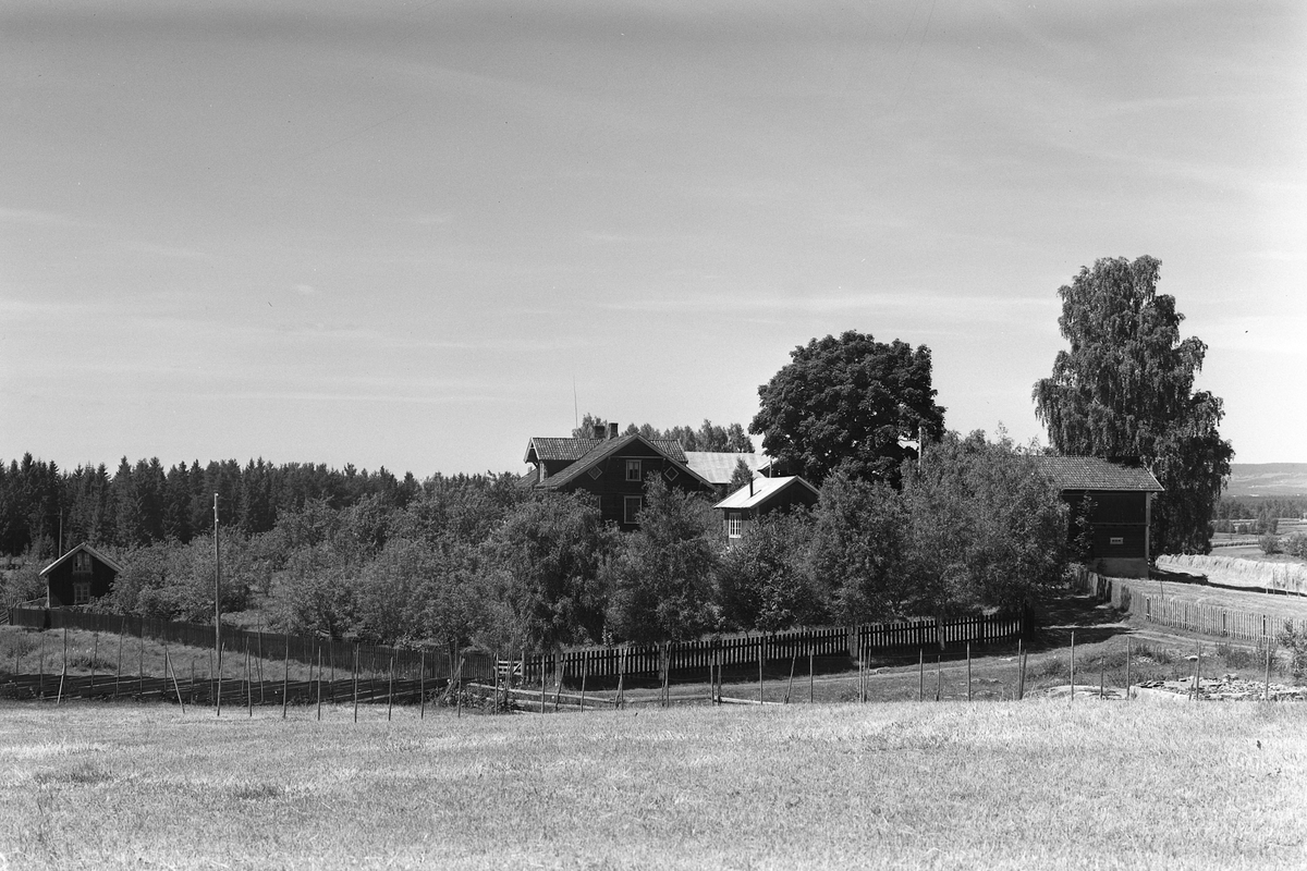 Anno Domkirkeodden, EKSTR: GARDSTUN, KURUD. Se Løtenboka, bind 3. Bygdeboka fra 1955, side 273