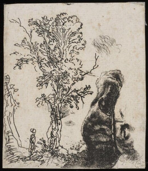 Rembrandt van Rijn, Sheet with two studies: a tree; and the upper part of the head of the artist wearing a velvet cap