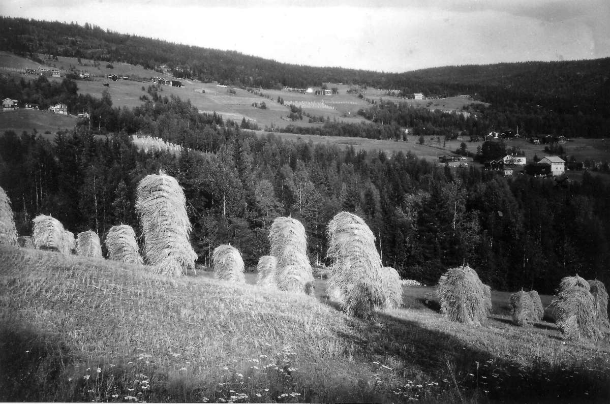 Hermann Christian Neupert, Kirkebygda, Eggedal, Sigdal. 1930. Oversiktsbilde. Landskap. Bebyggelse. Gårder. I forgrunnen kornstaurer.