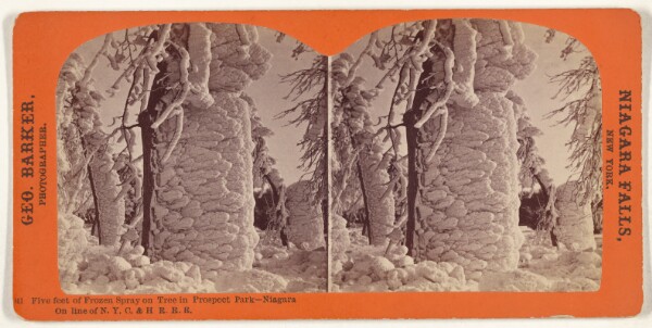 George Barker, Five feet of Frozen Spray on Tree in Prospect Park - Niagara[.] On line of N.Y.C. & H.R.R.R.