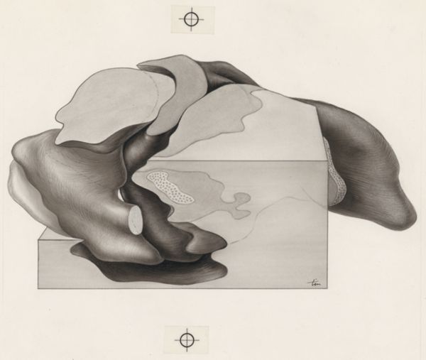 J Tinkelenberg, Part of the heart and circulatory system