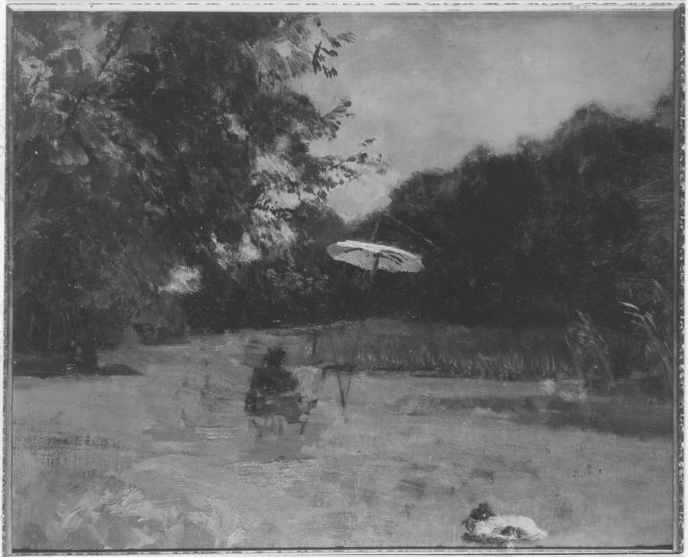 Emil Jakob Schindler, Parkstudie