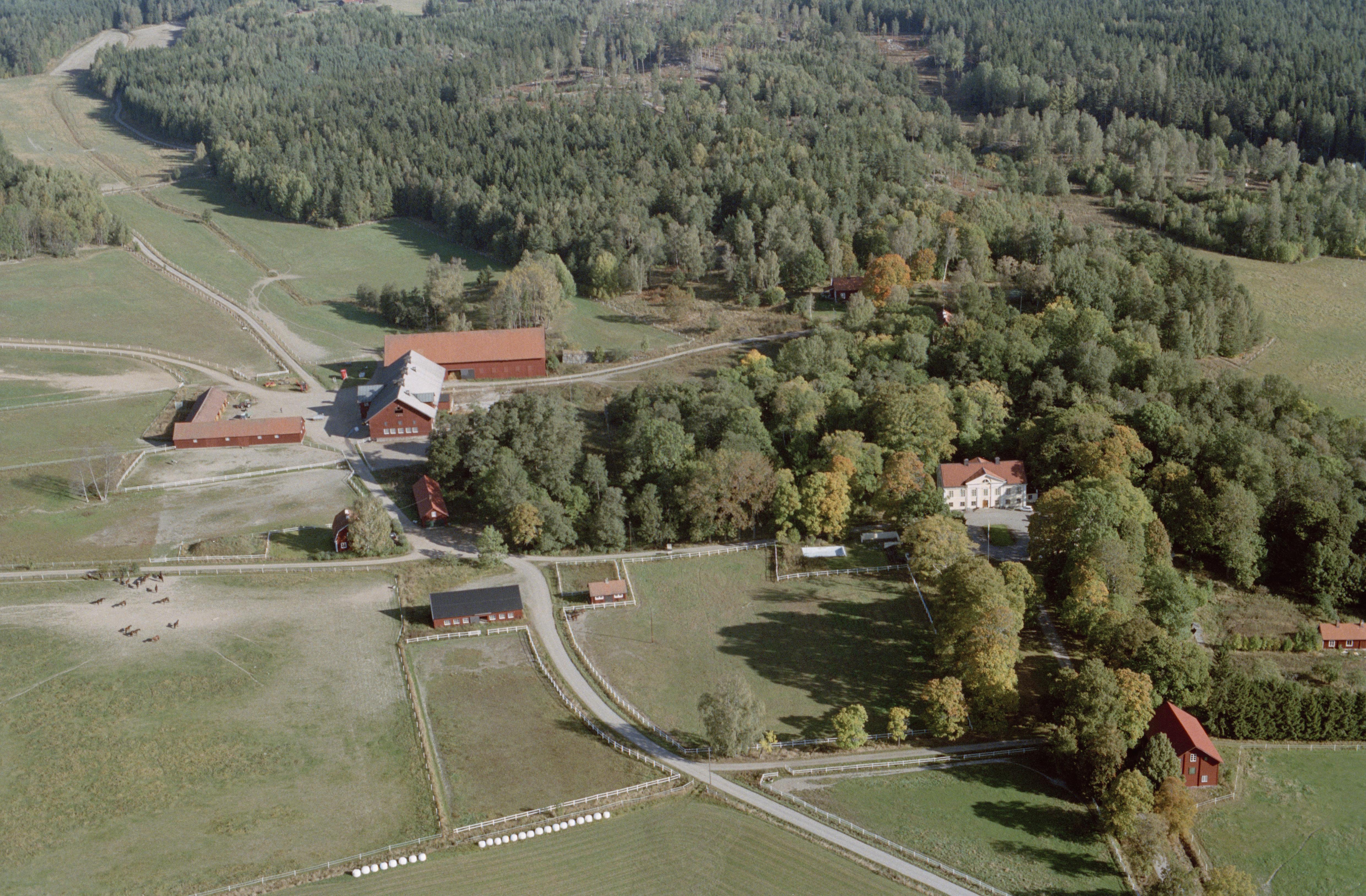 Jan Norrman, Bogsta 11:1