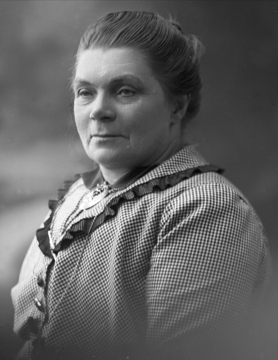 Gustav Borgen, NFB.41556