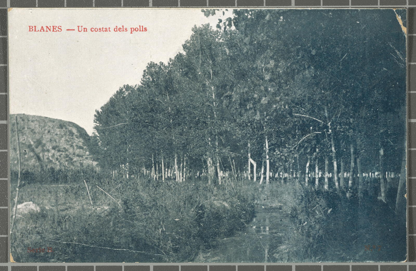 Desconegut, No. 7. Blanes.- One side of the lice