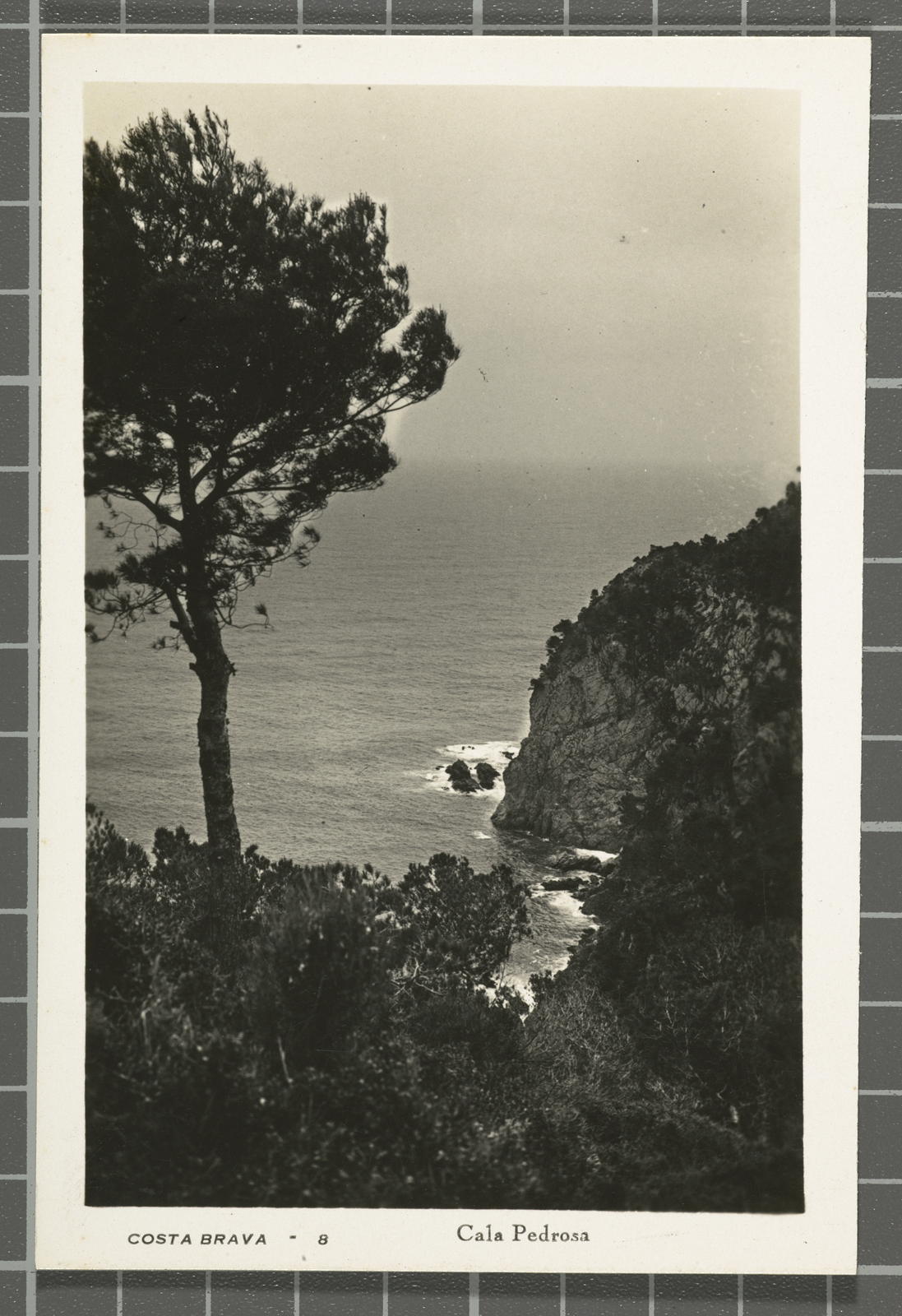 Desconegut, Costa Brava - 8. Cala Padrosa