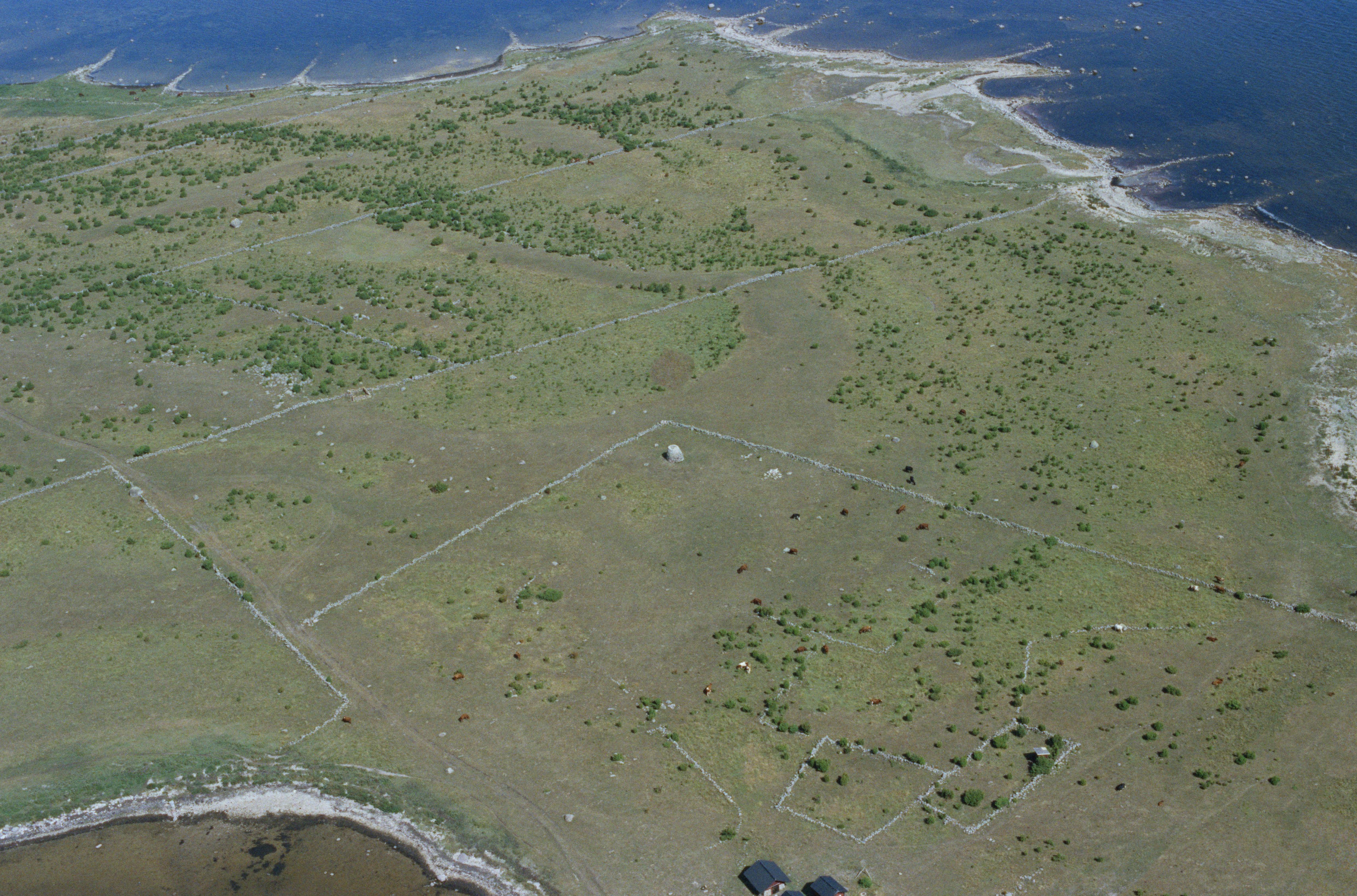 Jan Norrman, Varholm