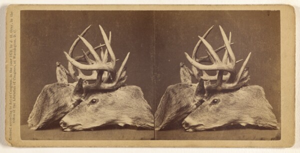 John P. Soule, The Death Lock