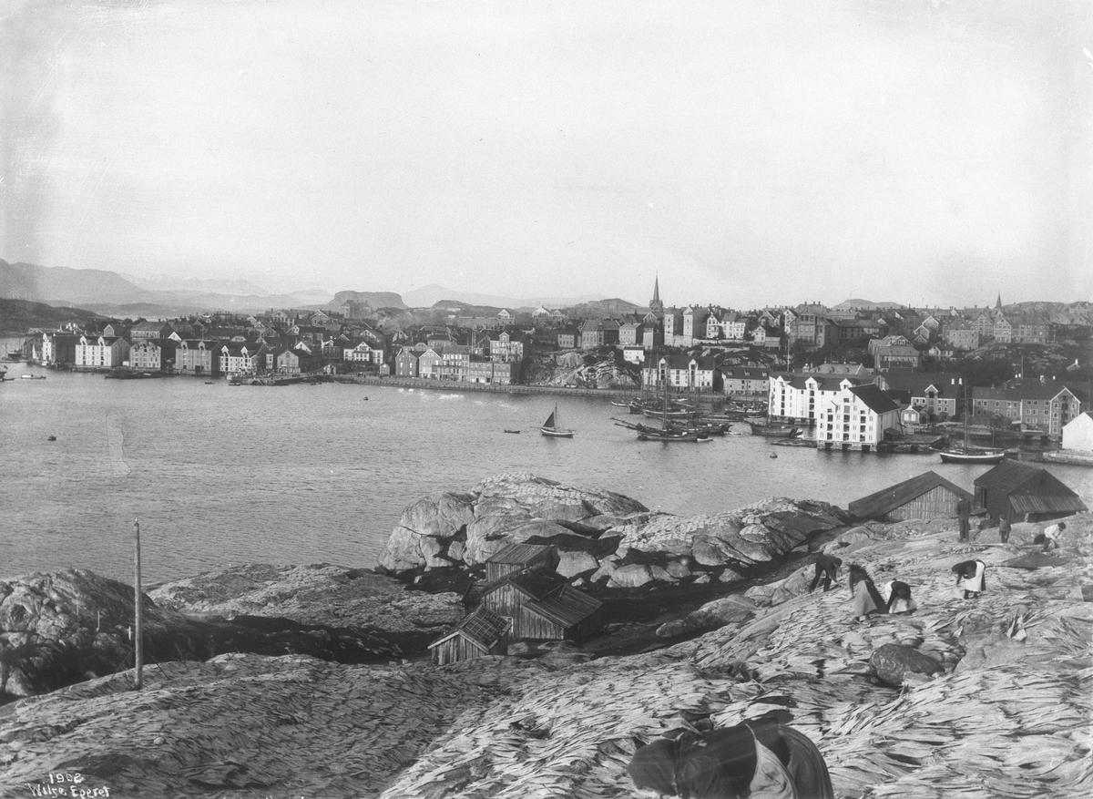 Anders Beer Wilse, Prot: Christiansund - Klippfisk tørkning med byen 25. Sep. 1902