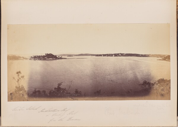 Unknown, Garden Island, Rushcutters Bay, and Darling Point from the Domain
