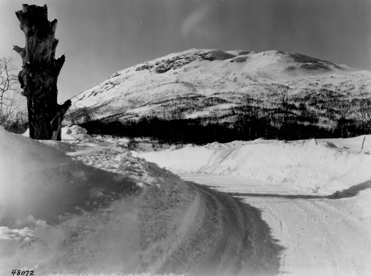 Anders Beer Wilse, Samferdesel, vei, sno, Hovden.