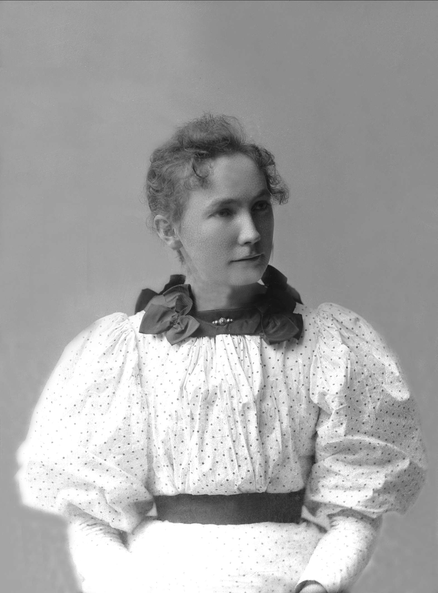 Gustav Borgen, NFB.43343