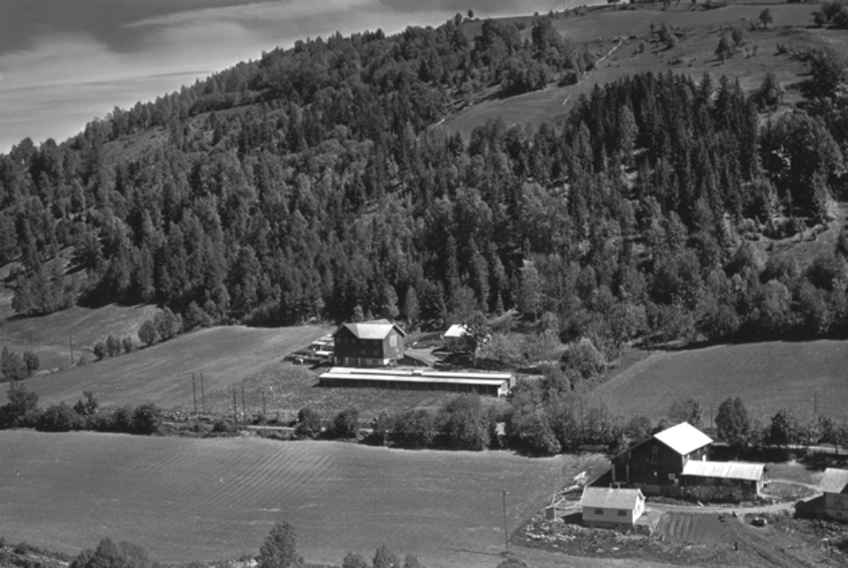Widerøes Flyveselskap A/S, Flyfoto av ukjent gardsbruk, Nordåsvegen, Brumunddal.
