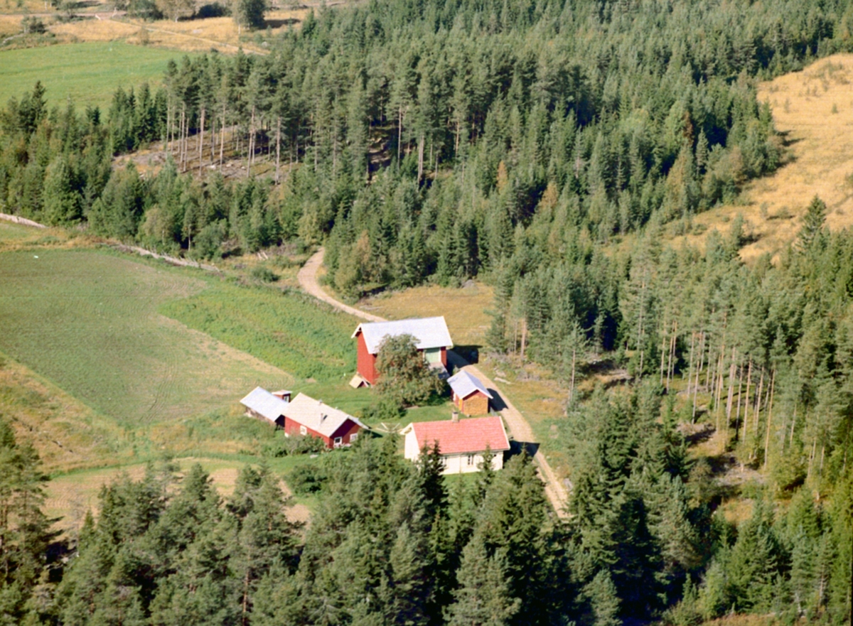 Widerøes Flyveselskap A/S, Flyfoto Evenstad gård, Løten. Gnr. 174, b.nr. 2 og 4.