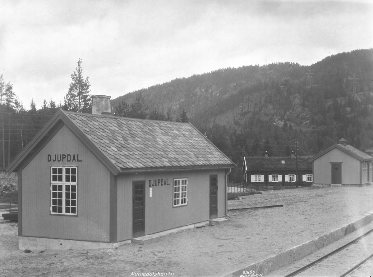 Anders Beer Wilse, Prot: Numedalsbanen - Djupdal station