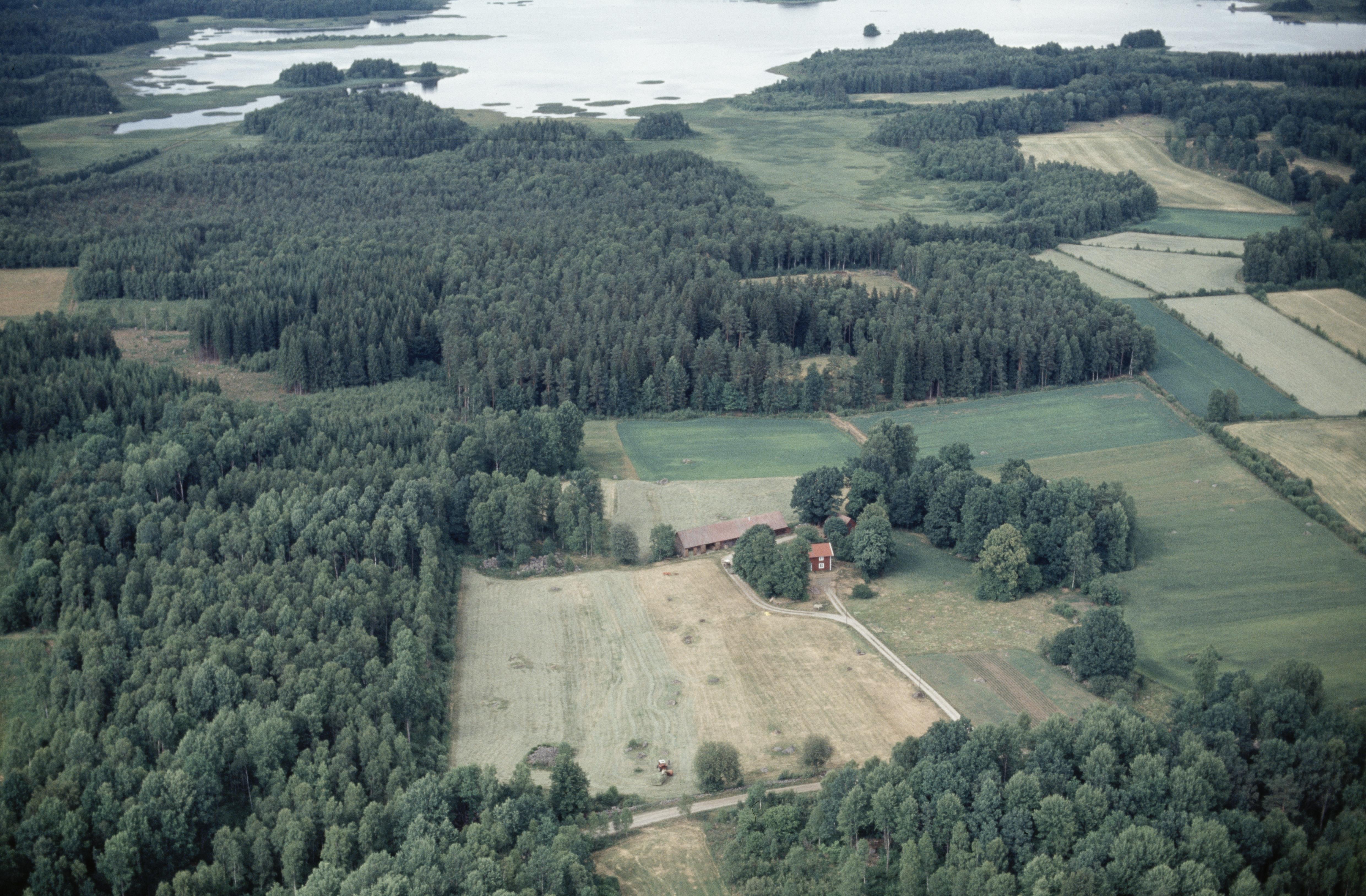Jan Norrman, Virestad 412:1