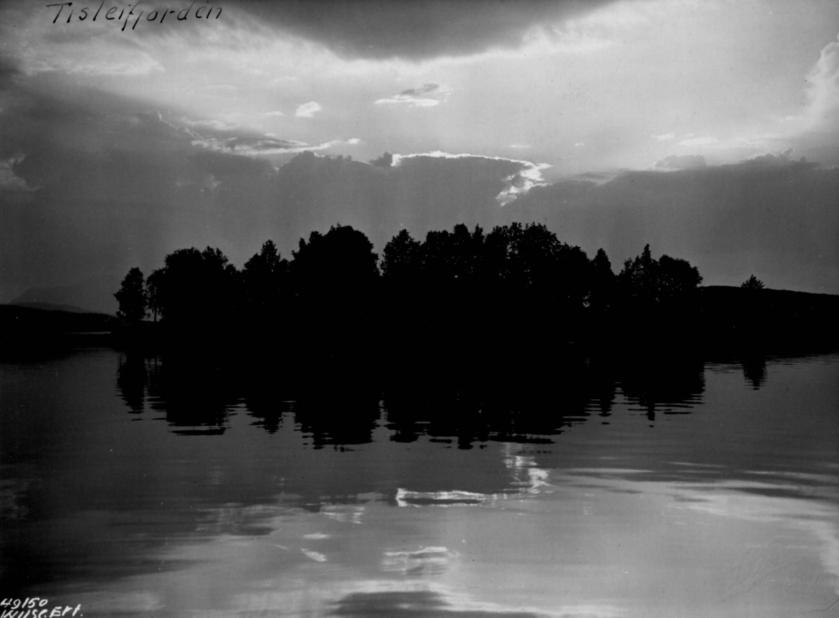 Anders Beer Wilse, Tyrifjorden