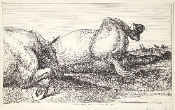 Jan van Huchtenburg, To faldne heste