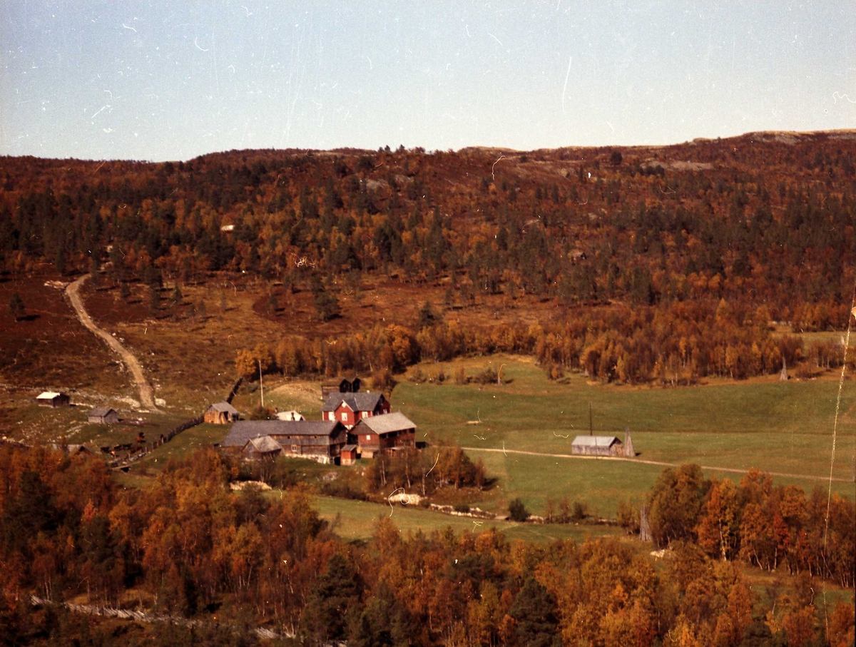 Widerøes Flyveselskap A/S, Gårdsbruk (Røsten Øvre).