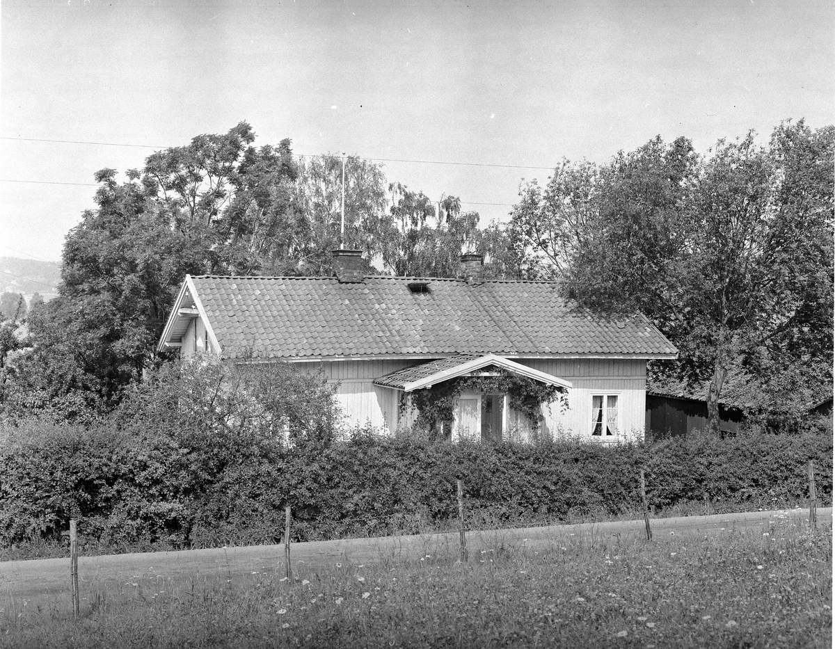 Anders Beer Wilse, Prot: Gran gård