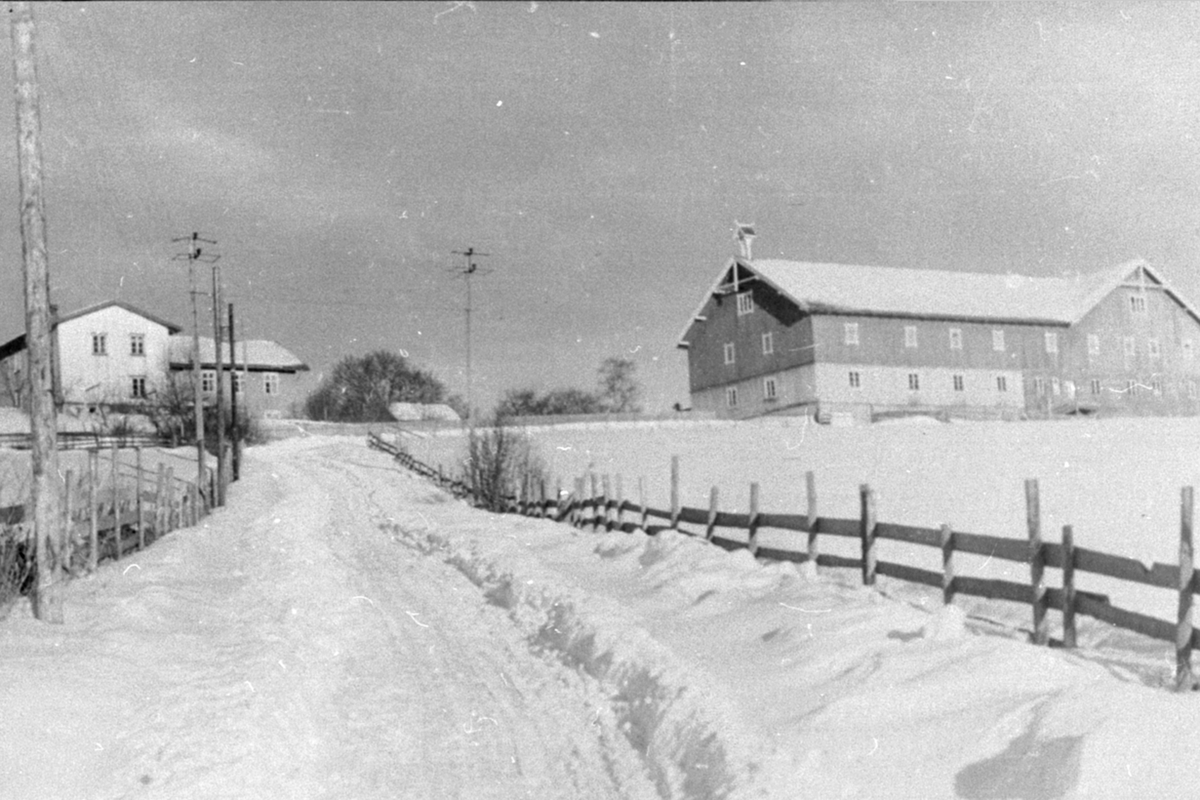 Anno Domkirkeodden, Veien opp mot gården Berg østre, Ringsaker. Vinter.