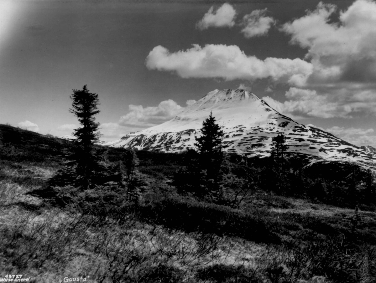 Anders Beer Wilse, Fjellvidde ved Gaustatoppen.