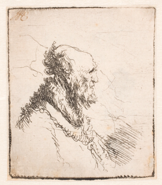 Rembrandt van Rijn, Skaldet mandshoved