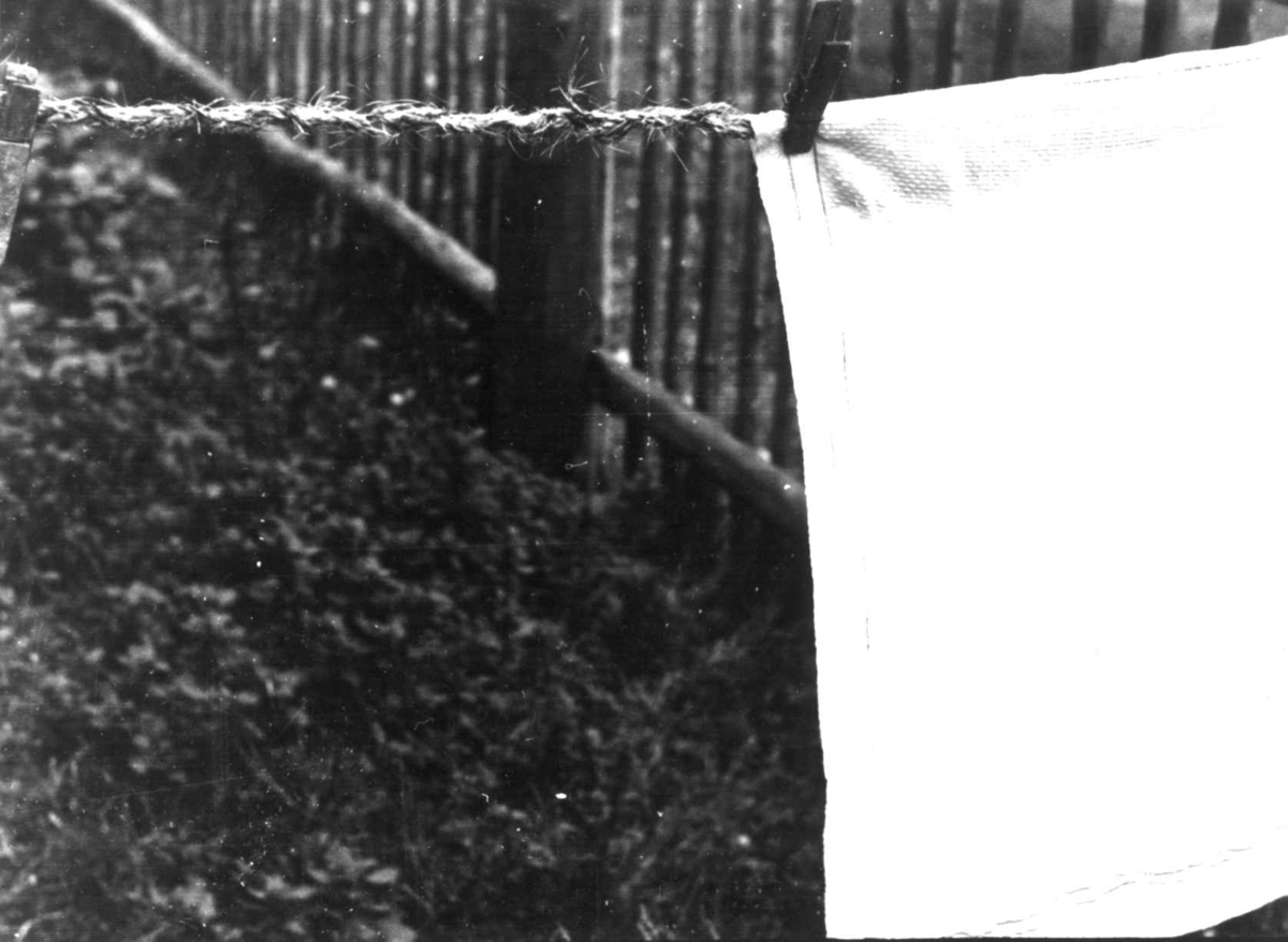Anna Grostøl, Bråtådal, Skjåk, Oppland 1941. Et klede på en klessnor av purkebust, Horta.