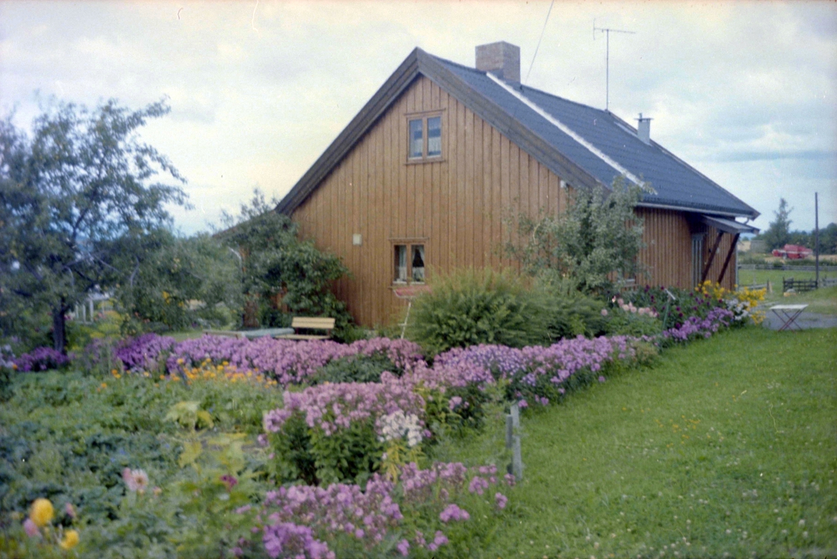 Adolf Skjegstad, ASK-04662