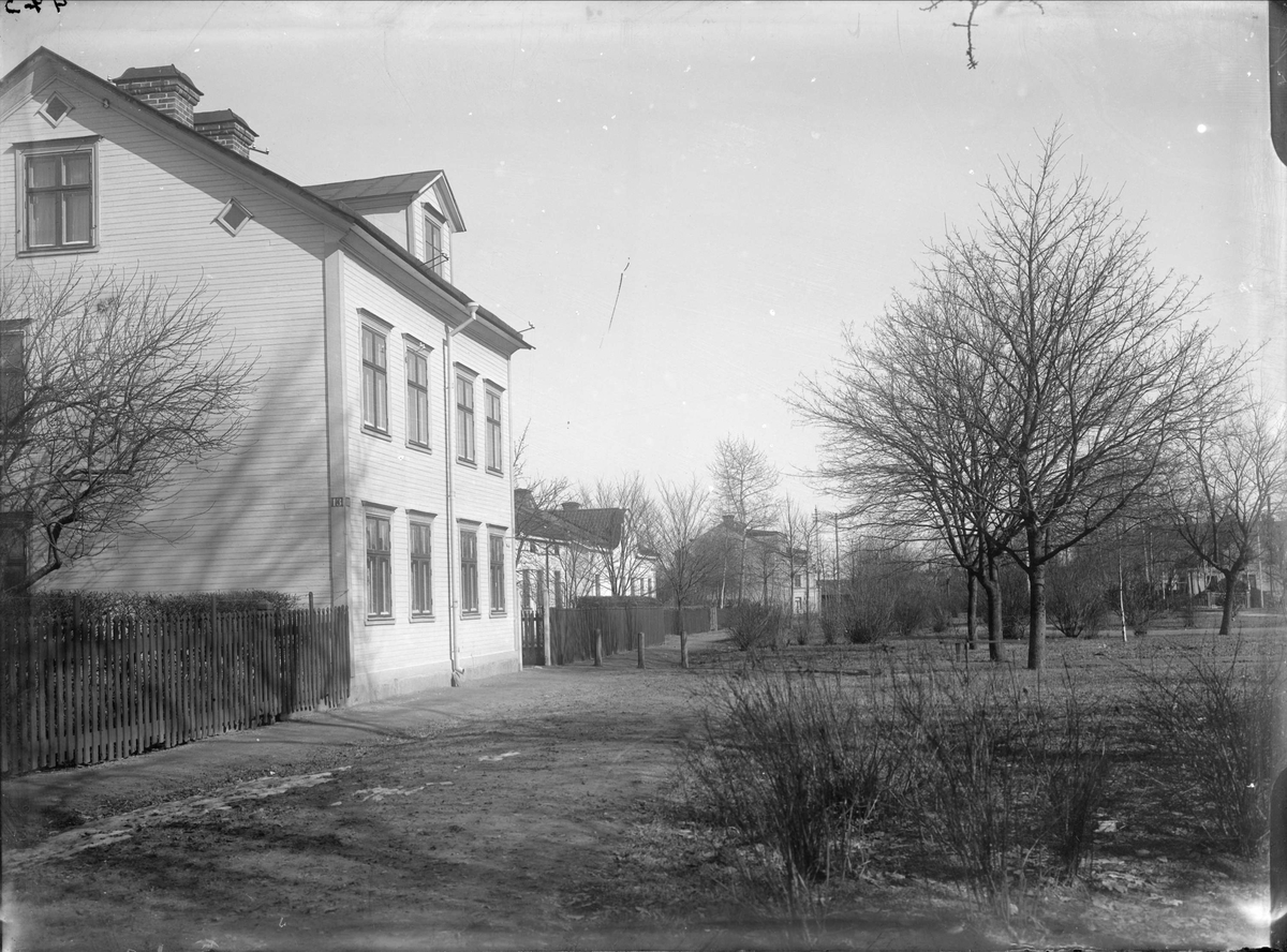 Alfred Dahlgren, Luthagsesplanaden från Wallingatan, Luthagen, Uppsala 1908