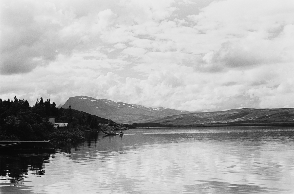 Anders Beer Wilse, Prot: Tisleifjorden