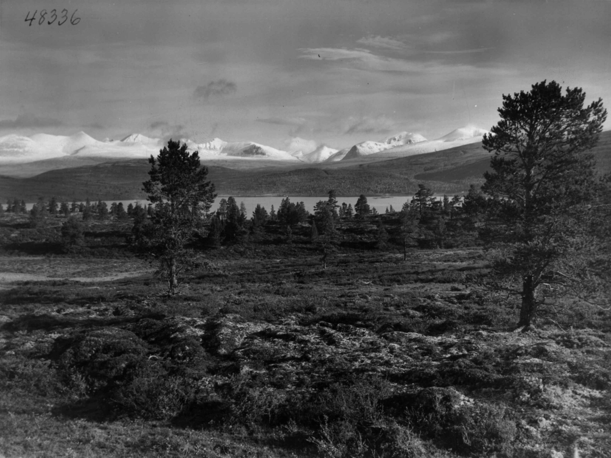 Anders Beer Wilse, Rondane, Furusjoen, Fra Rondablikk