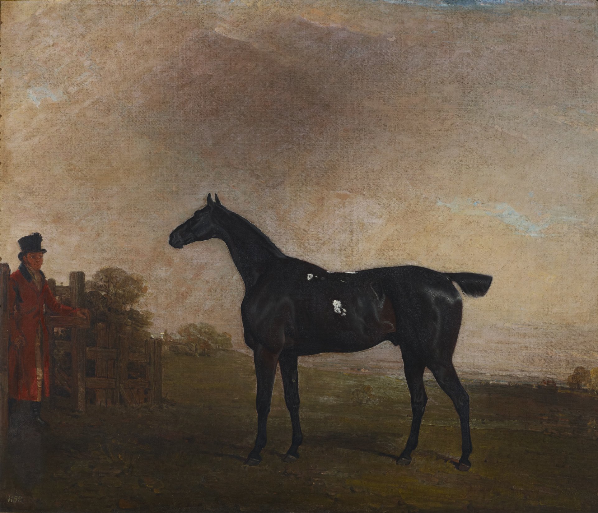 Benjamin Marshall, A Black Horse