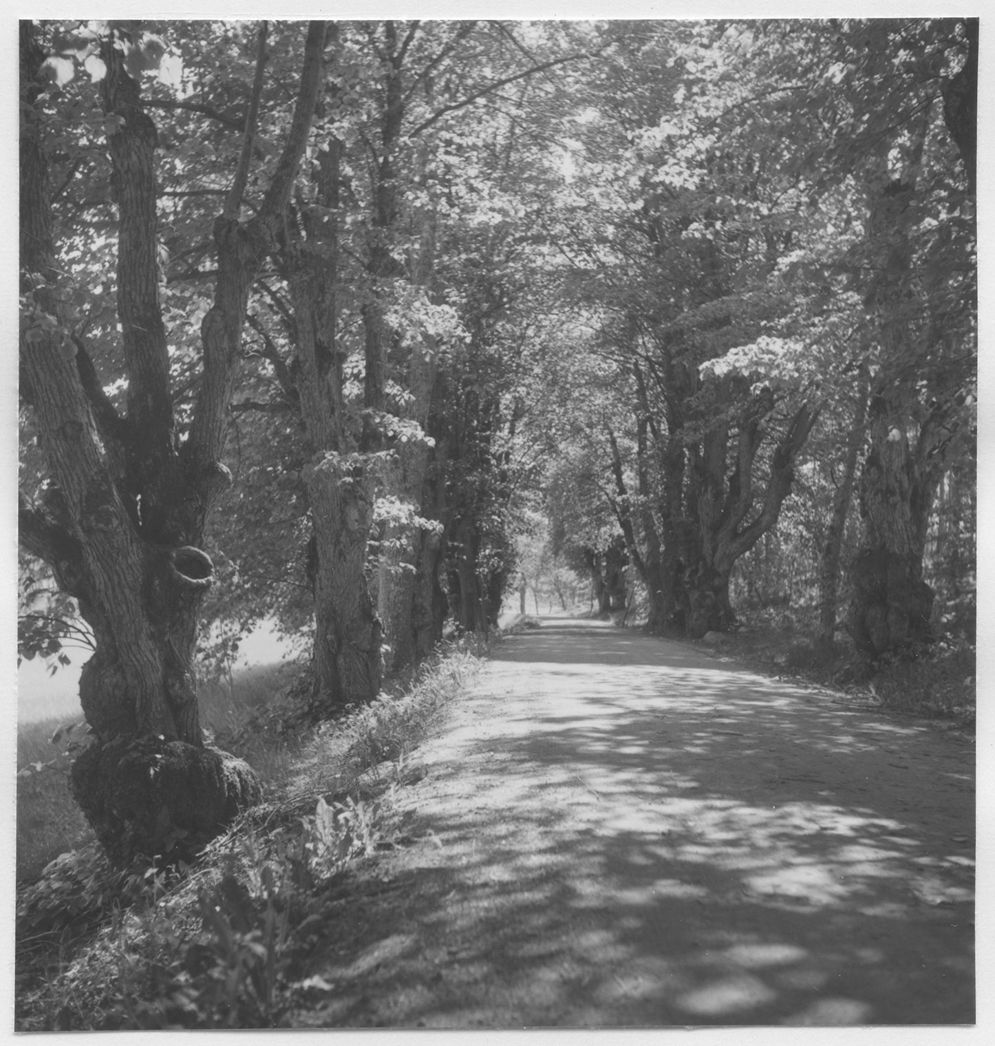 Mårten Sjöbeck, Torsåker