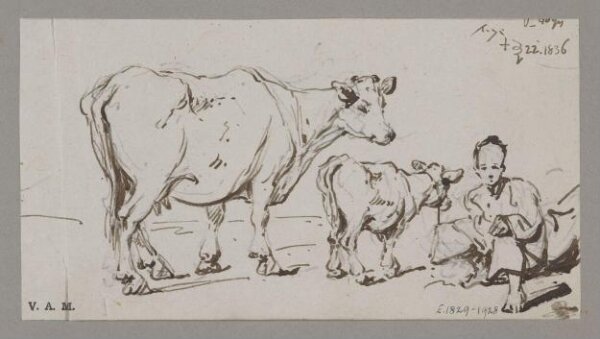 George Chinnery, A cow and calf, with a crouching figure