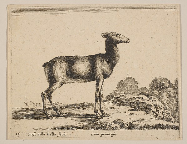 Stefano della Bella, Plate 15: Doe, from "Various animals" (Diversi animali)