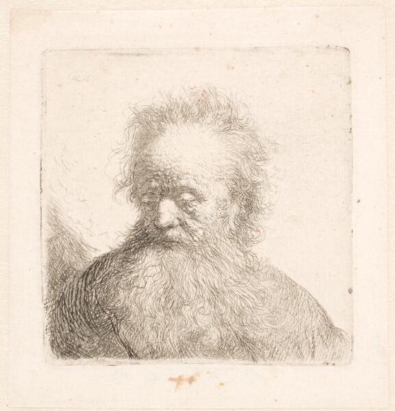 Rembrandt van Rijn, Hoved og skulder af gammel, skægget mand